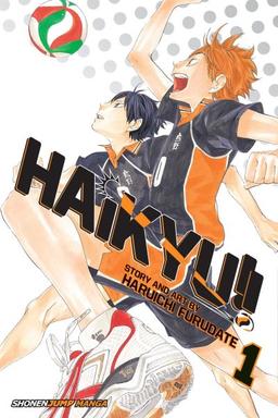 Haikyu book cover