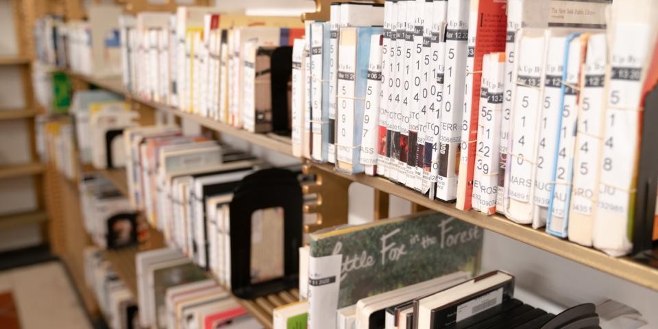 library holds shelf