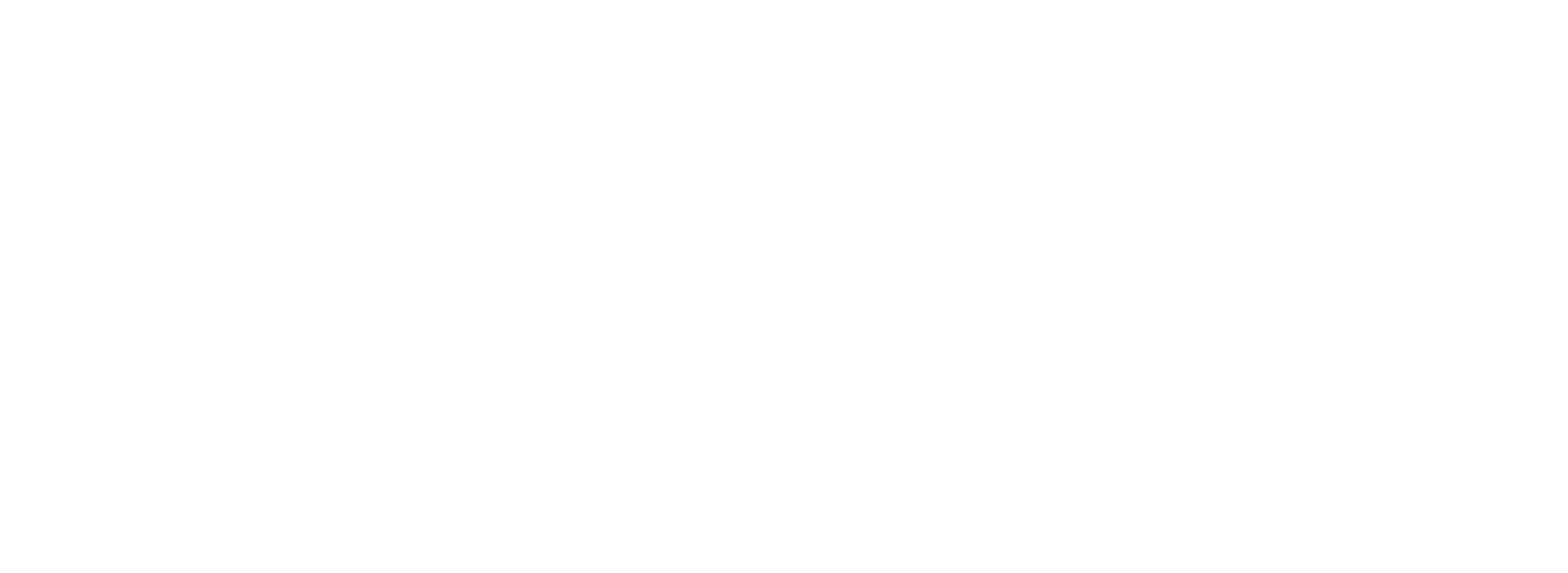 Photoville Festival logo in white