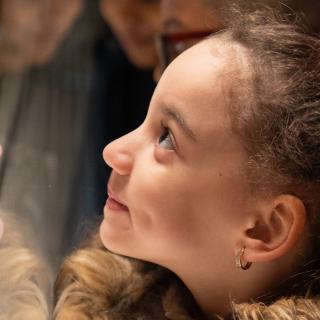 A young girl gazes into an exhibition case. 