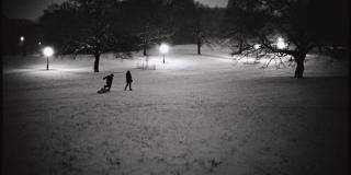 In a high contrast black and white photograph, lampost illuminate a snow covered park at night as two figures walk across the plain in the distance. 