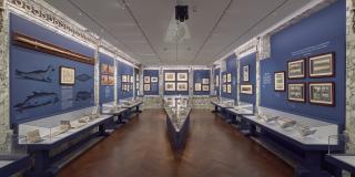 Photograph with fisheye view of exhibition showing both sides of the Wachenheim Gallery corridor
