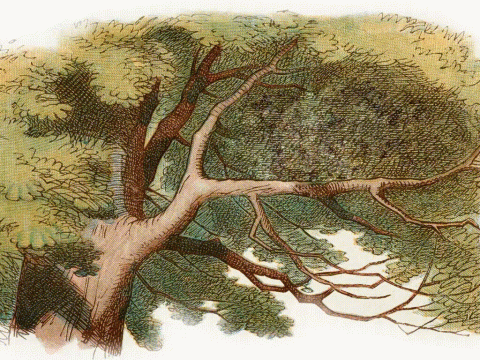 in a color engraving of a tree, the cheshire cat appears, disappears and reappears holding their trademark grin